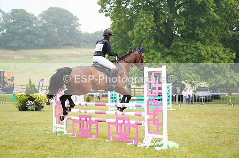 240630X-094236-5228 - 353-Hani_Milstein-COCCINELLE