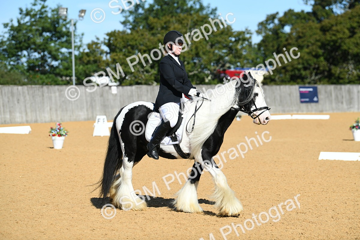 SBM_18087 - D4 - Small Tour Championship - Intro B