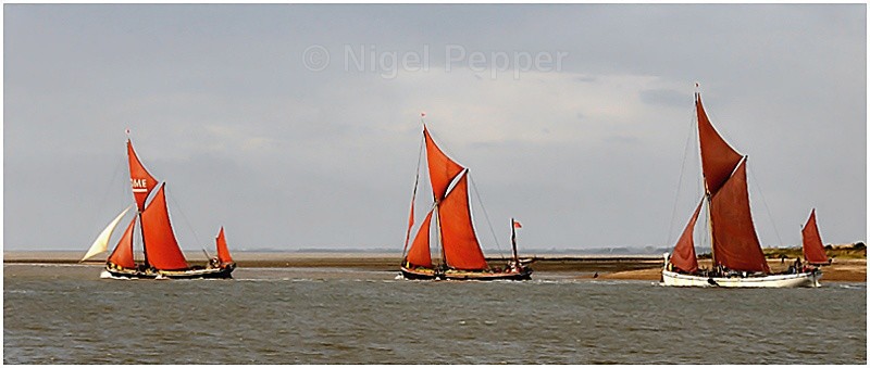 Racing Trio ( 2 ) - Colne Barge and Smack Race