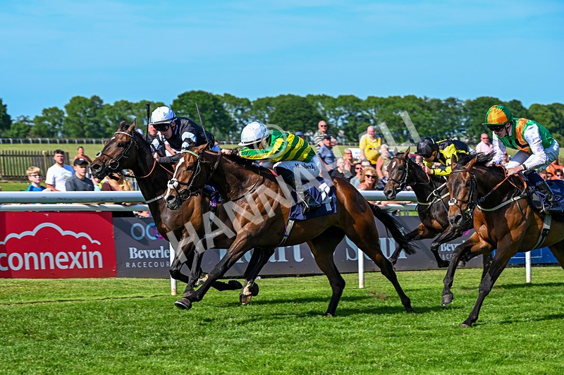 300526-Race 6-Vietnorm-6739 - Race 6 16.32pm ICS Cleaning Services Handicap