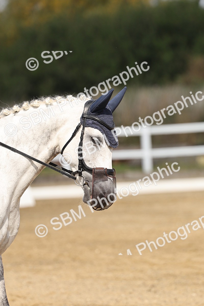 SBM_017501 - Class 12-14 - Intro 2-Prelim 5