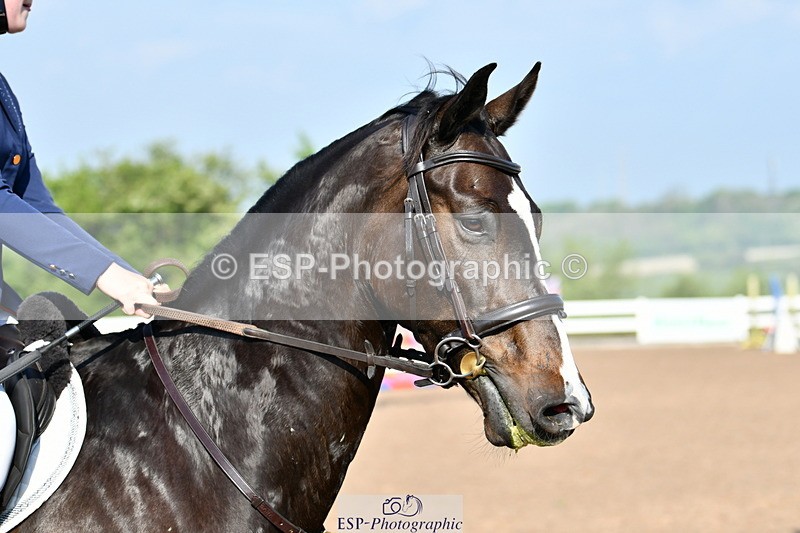 240512A-085240-17000 - Cls 39 British Novice and 90cm Open