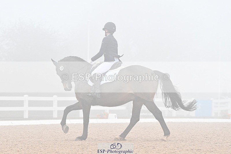 240217A-135347-03309 - 240-Moira.Bonner-Green.lanes.Elidor