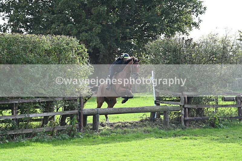 WJ7_0935 - Time 14:27 to 15:11