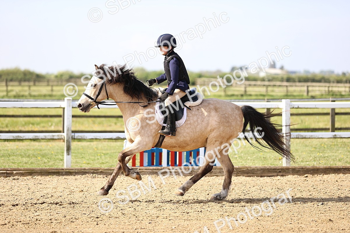 SBM_000181 - class 2 - 50cm