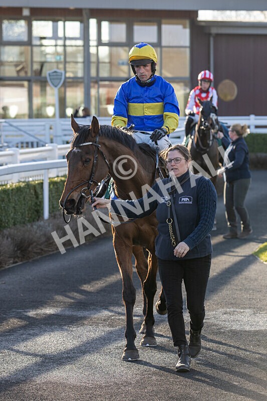 050325-Race 4-Hostile Hotelier-6982 - Race 4