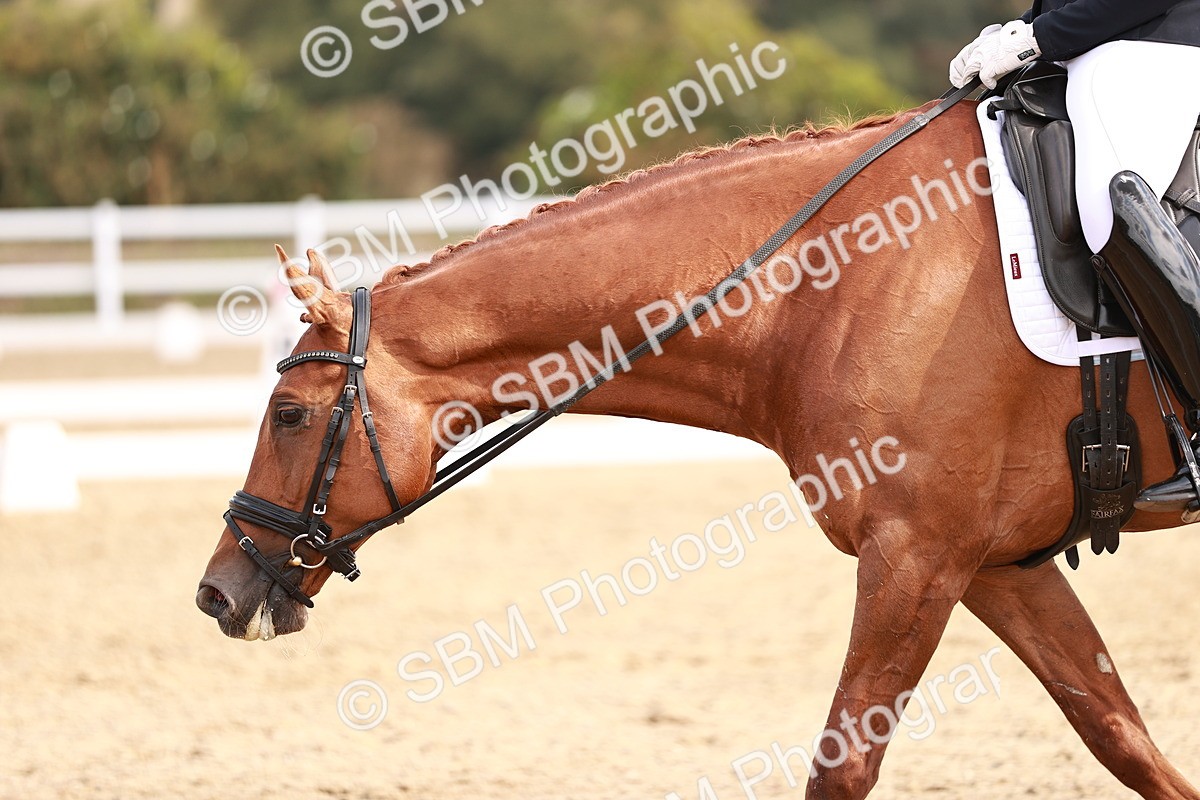 SBM_017693 - Class 11 - Advanced Medium 6