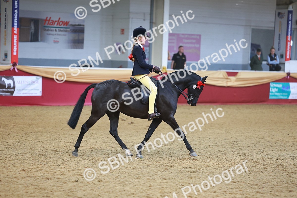 SBM_12536 - Class 103 - HOYS Veteran Qualifier - Ridden Pre Vet