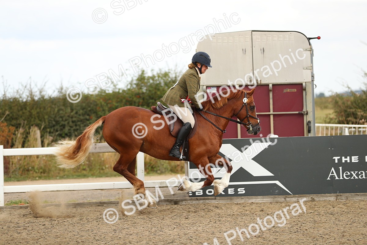 SBM_04895 - Class 47a Style & Performance 60cm (15-19)