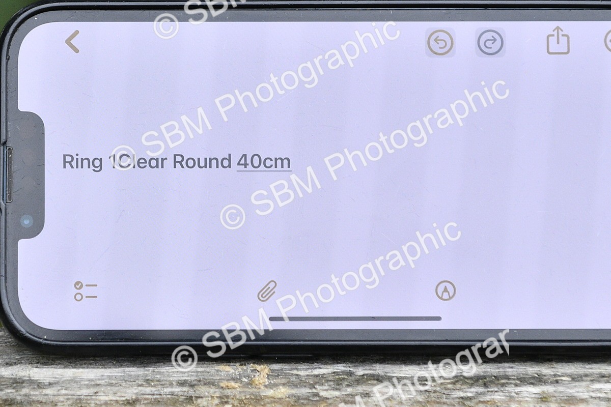 SBM_60404 - J61 - Mini Clear Round 30cm & 40cm