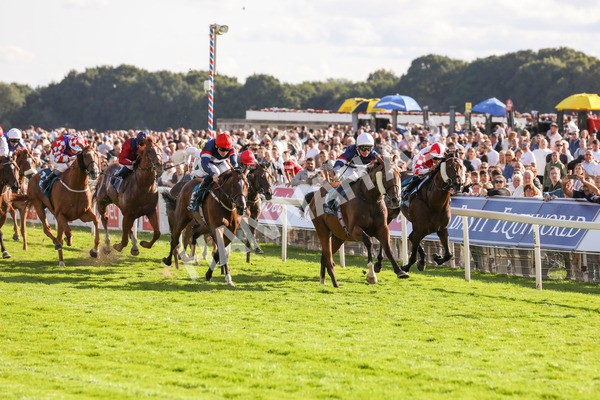 240824-Race 7-Sir Busker-9242 - Race 7 5.20pm Sky Bet Finale Handicap