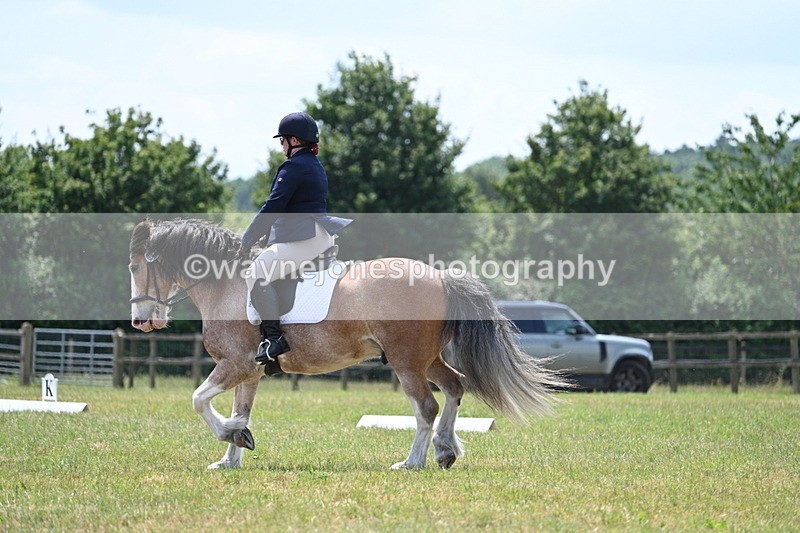 WJ7_8177 - Time 13:35 to 13:40