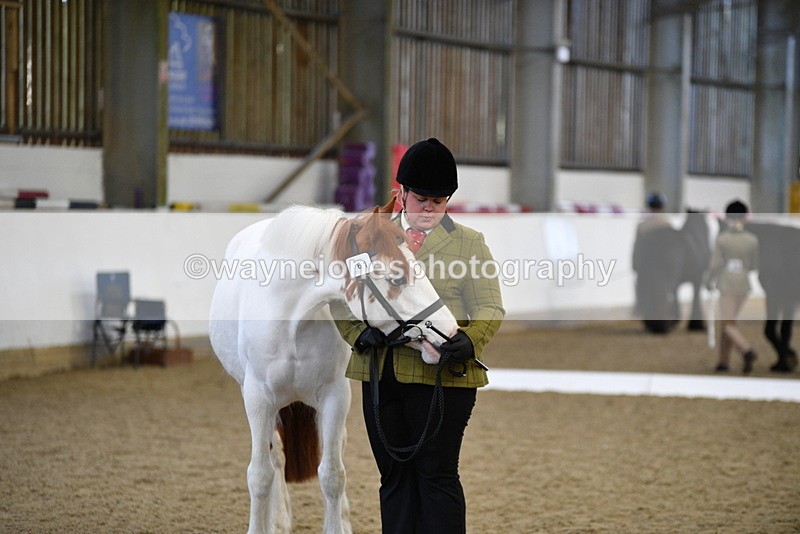 WJ5_4041 - Class 2 Best Condition In hand