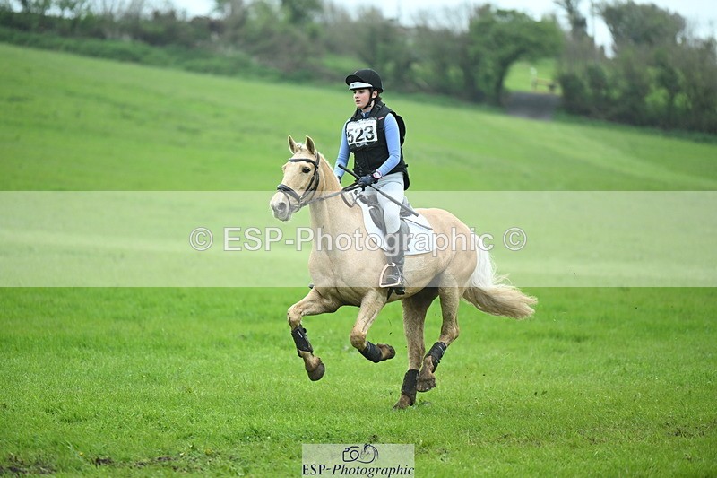 250419-130015-10723 - 523-Kate.Hicks-SWALLOWCROFT.STARDUST