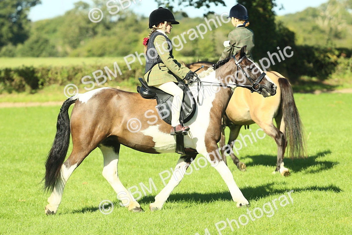 SBM_36517 - S29 - Novice & Newcomers Working Hunter Pony