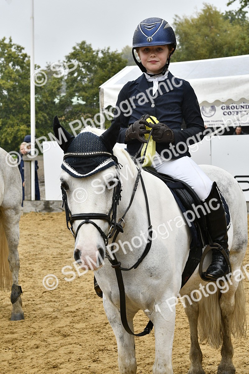 SBM_71010 - J3 - Mini Tour Junior Pony 40cm championship