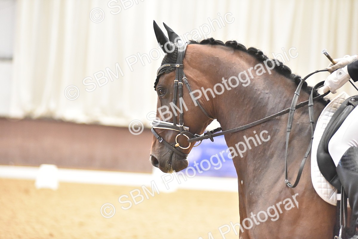 SBM_010997 - Class 8 - Novice 5