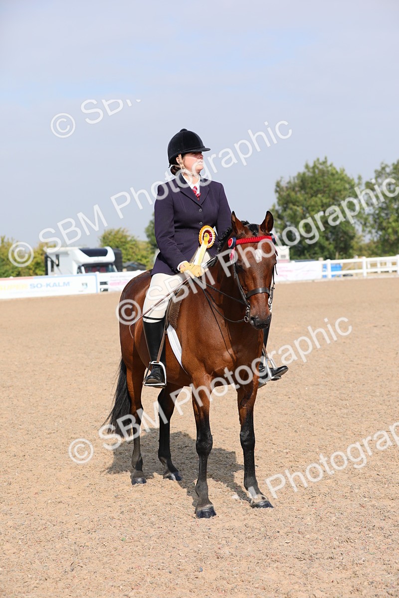 SBM_10939 - Class 304 Ridden Part Bred Horse/Pony