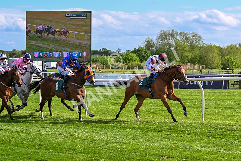 110526-Race 6-Betties Bay-1248 - Race 6 5.00pm Racing Again 21st May Fillies' Handicap