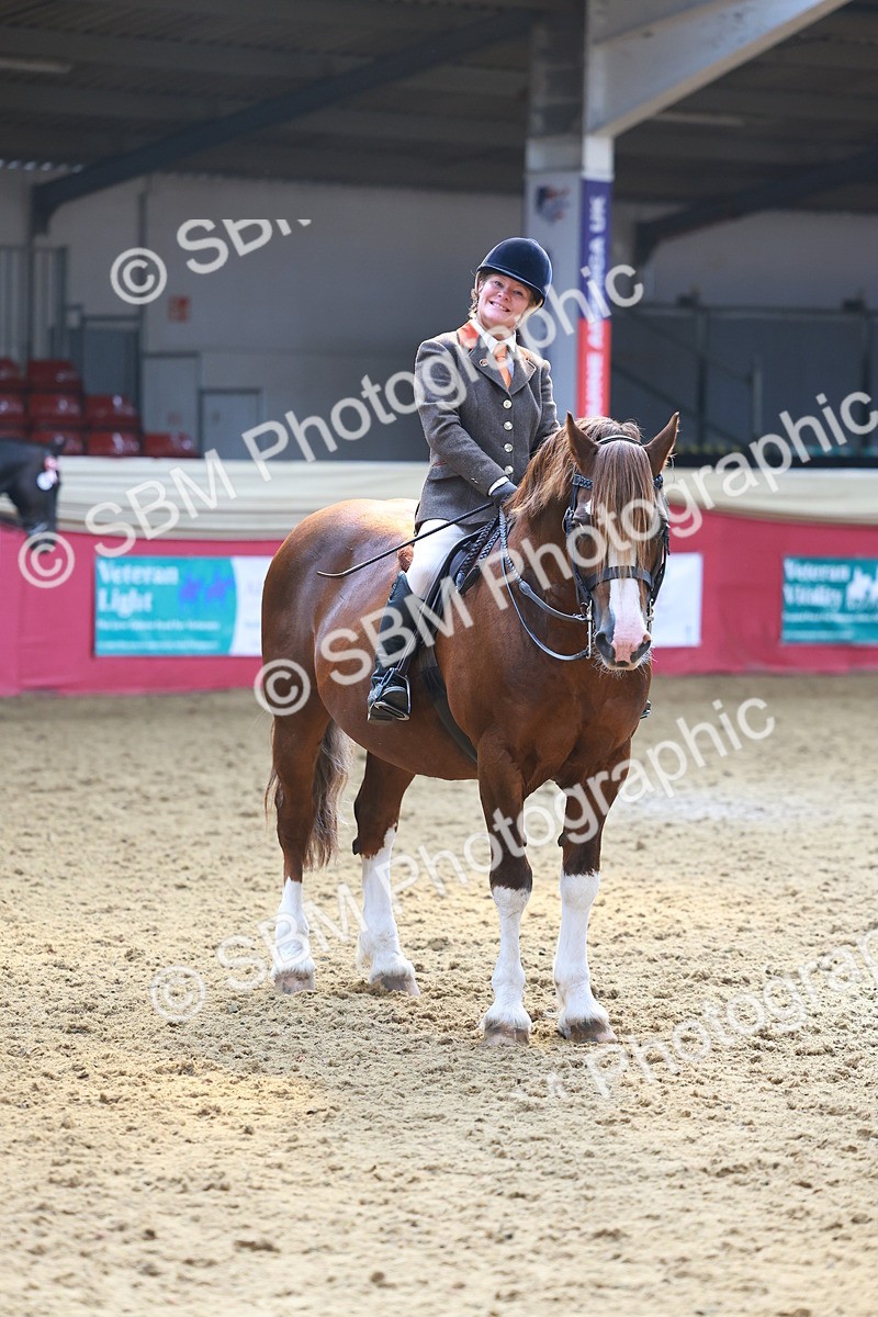 SBM_12643 - Class 103 - HOYS Veteran Qualifier - Ridden Pre Vet