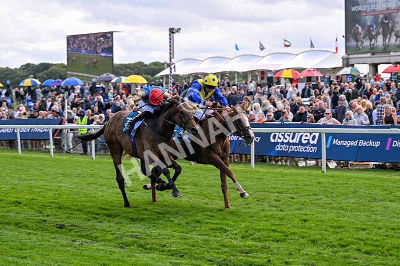 210826-Race 5-Plage De Havre-6766 - Race 5 16.10pm Assured Data Protection Handicap