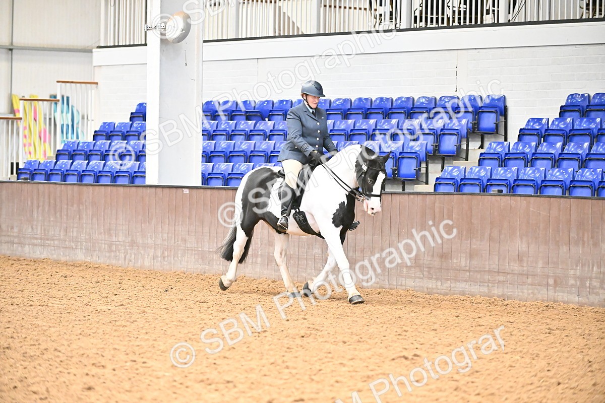 SBM_002635 - Class 28,29 - Ridden Irish & Coloured