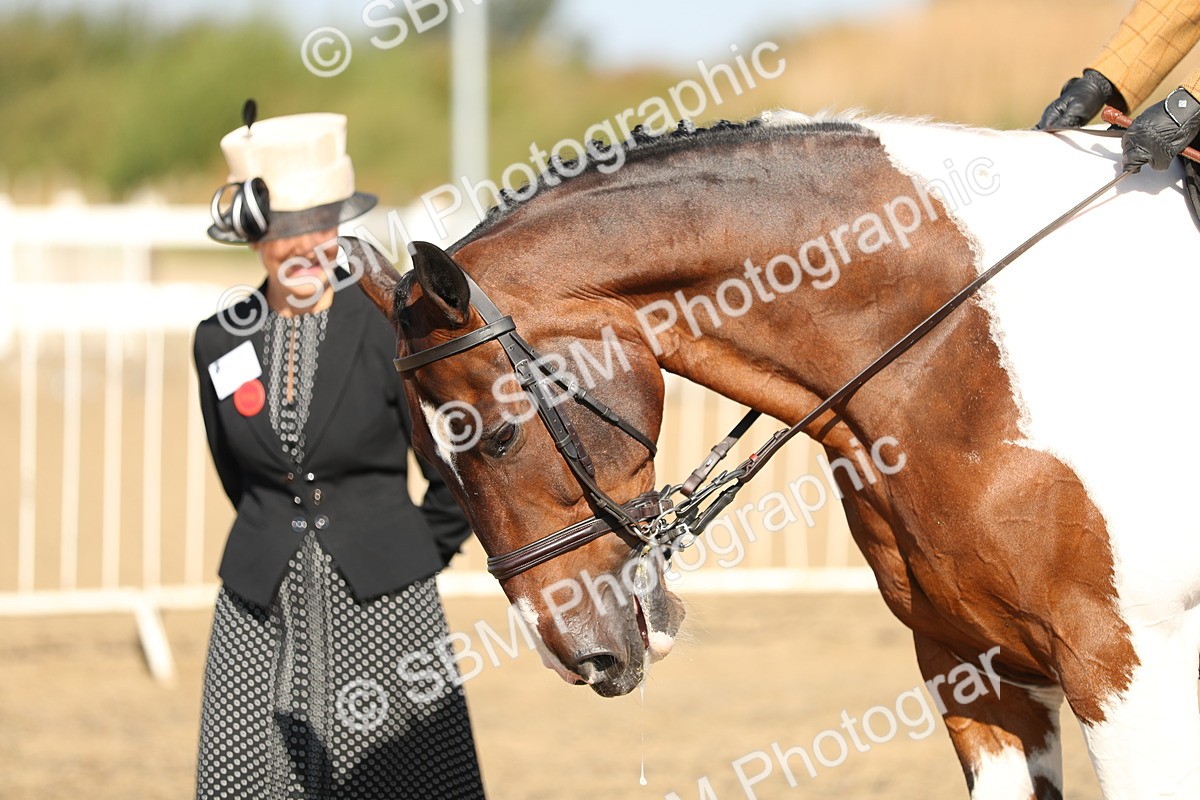 SBM_01220 - Class 42 Ridden Veteran