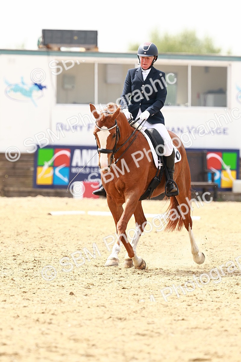 SBM_002894 - Class 12 - Medium 4