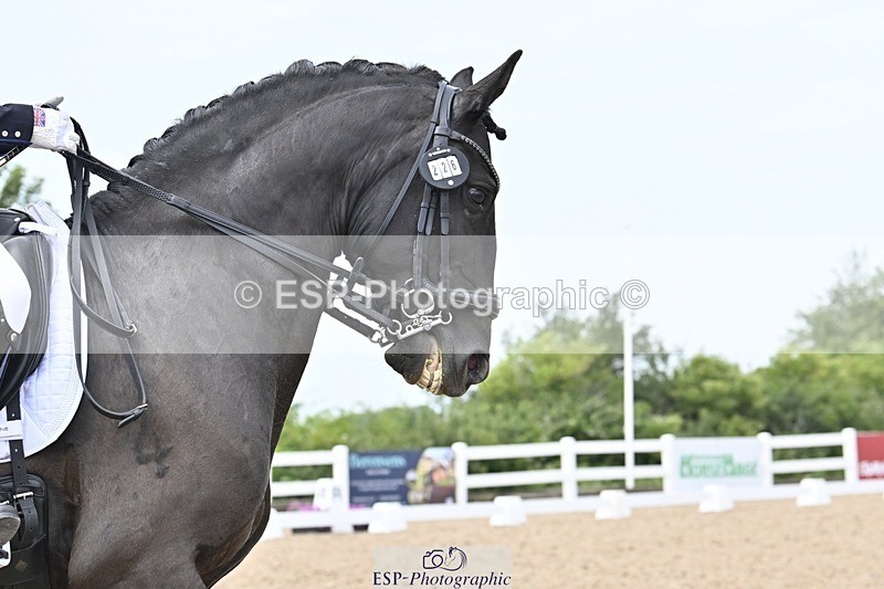 250621-143153-10640 - Cls 29 - Elementary 5, 14.10 to End