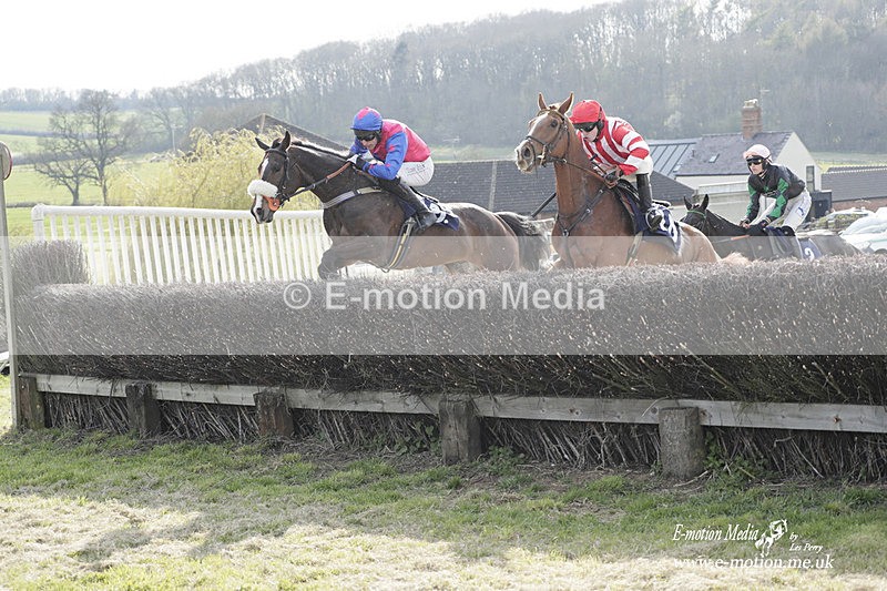 PtP 080423 766 - Dingley Races The Woodland Pytchley Hunt PtP 08/04/23