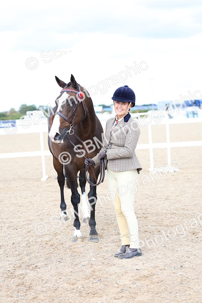 SBM_15278 - Class 313 - IH Retired Racehorse