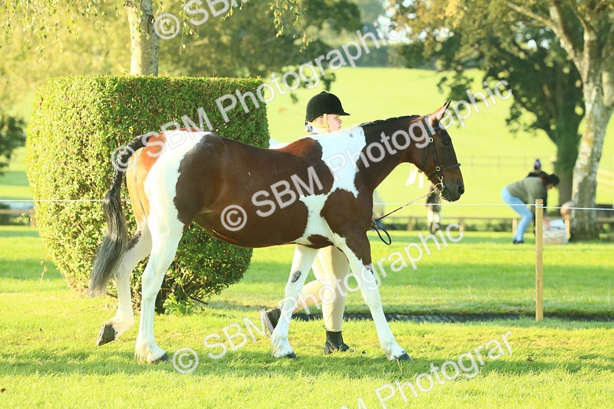 SBM_56781 - S36 - Starters Best Turnout