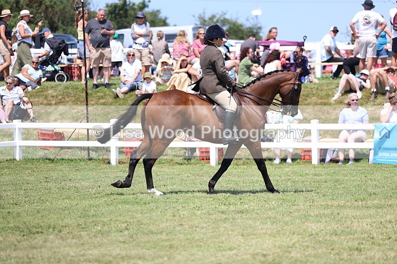 3E7A9318 - Class 12: Open Racehorse to Show Horse