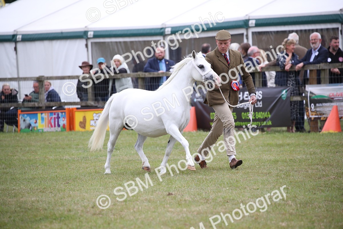 SBM_09834 - Ch 50 - Price Family Supreme In Hand