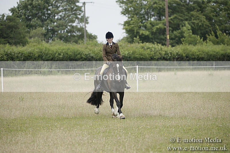 B230619-0484 - Bourne Valley Riding Club Summer Show 23/06/19