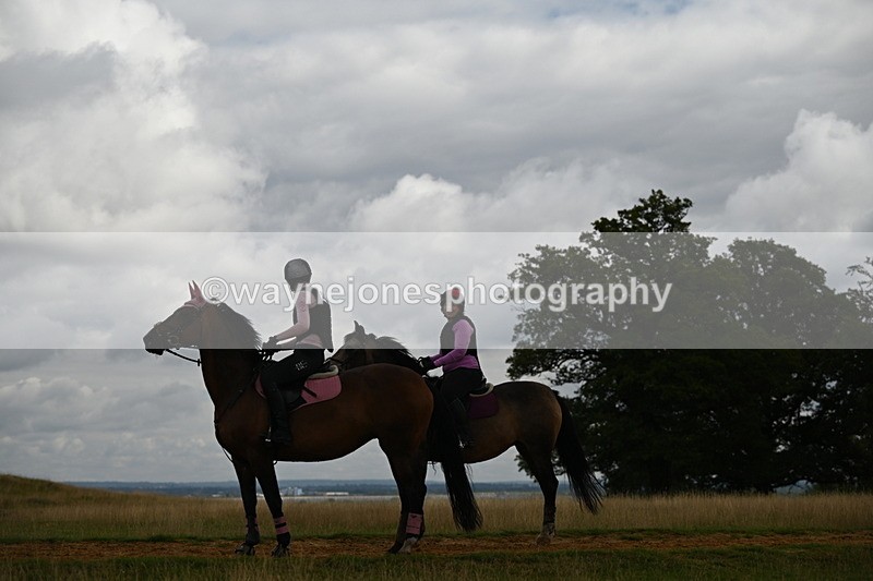 DSC_4204 - Time at Statue 09:50 to 11:09