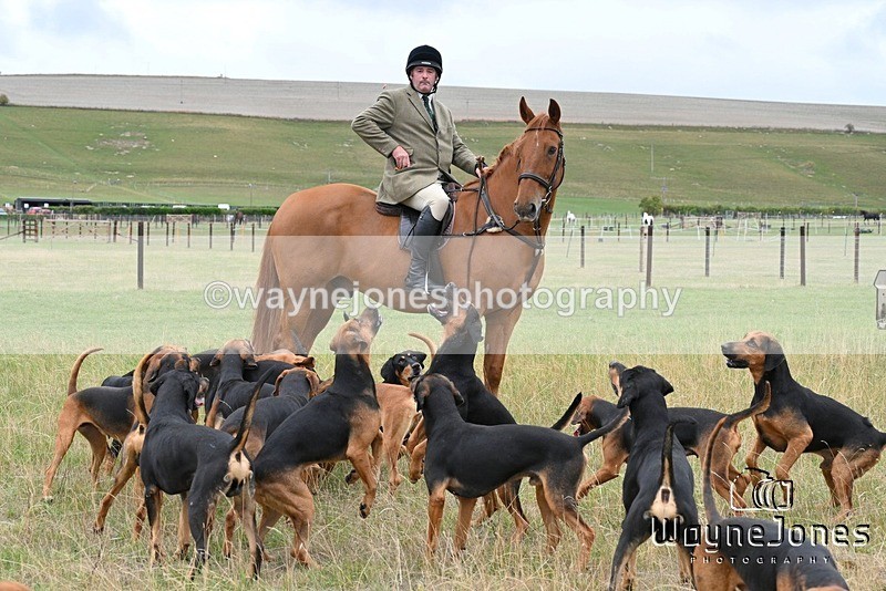 WJ7_0709 - Berks & Bucks Hound Exercise Blewbury 13-09-26