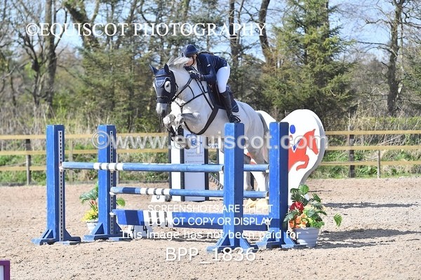 BPP_1836 - CLASS 19 SUN Senior Foxhunter/ 1.20m Open