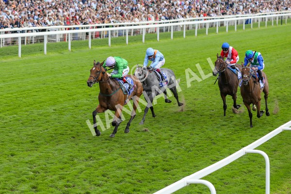 240824-Race 3-Breege-8972 - Race 3 3.00pm Sky Bet City Of York Stakes