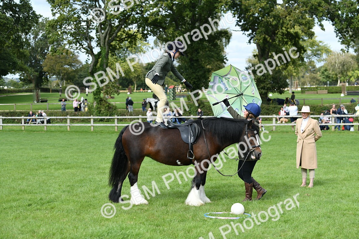 SBM_46931 - S12 - Family Horse & Pony