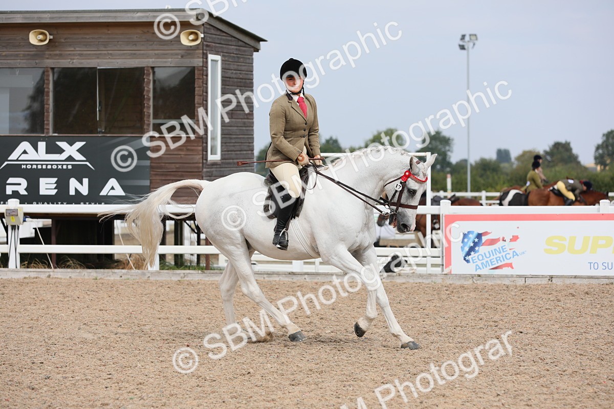 SBM_13410 - Class 308 Ridden Coloured Horse
