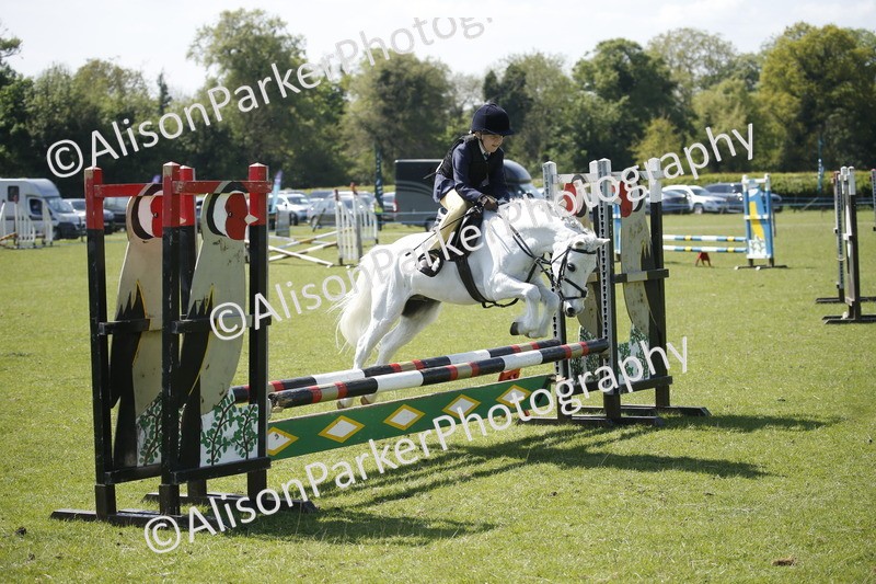 20250427-2308 - Class 13 - Novice Jumping 60cm