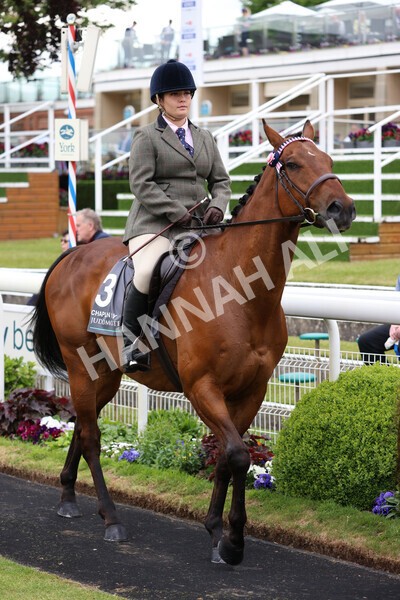 yr22052022r8e-54 - ROR - Parade Ring York