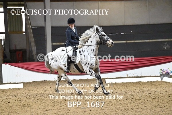 BPP_1687 - PC NOVICE DRESSAGE