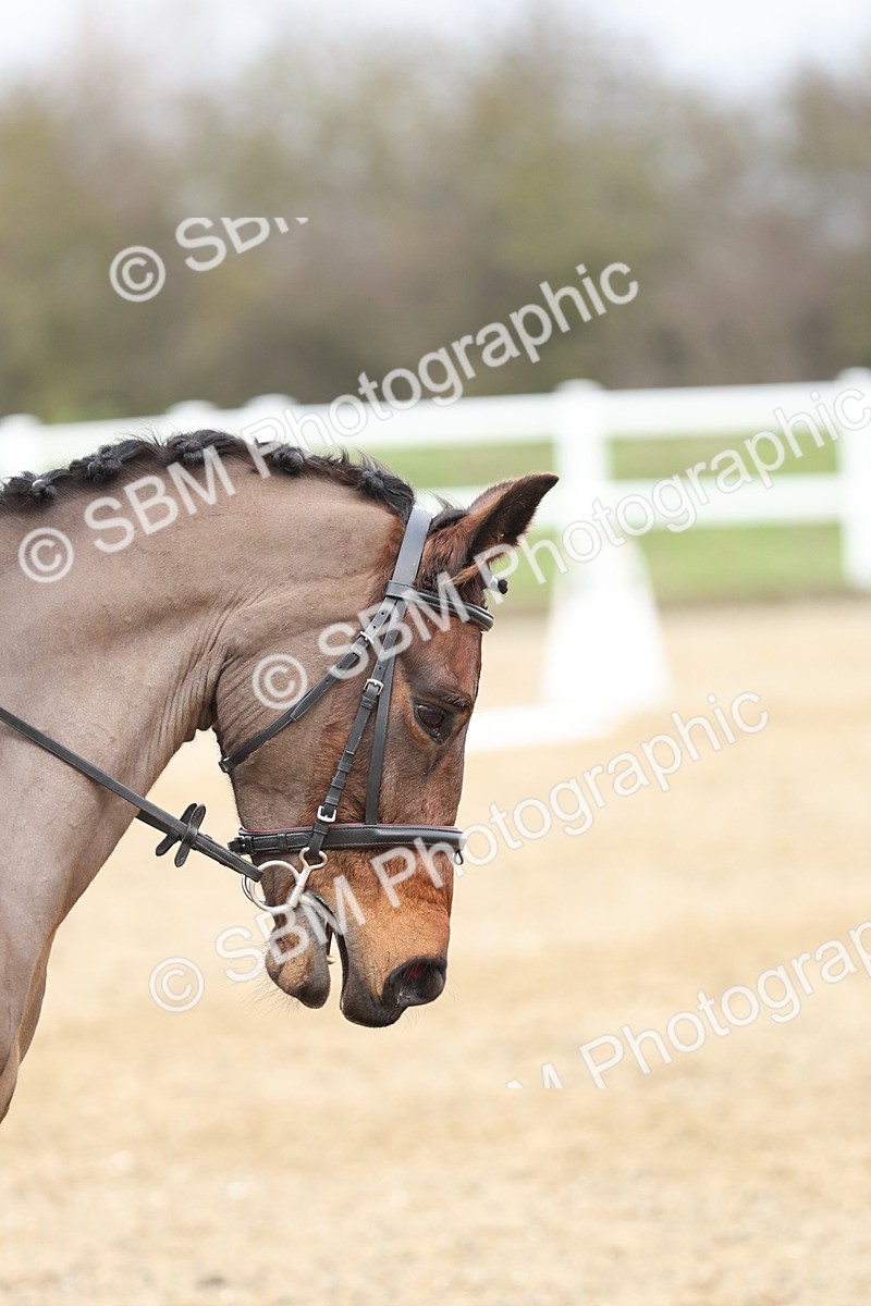 SBM_002111 - Prelim 1