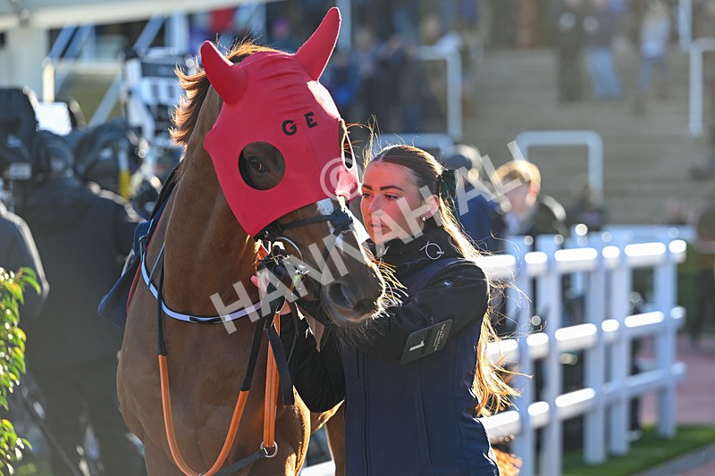 251025-Race 6-Pied Piper-9637 - Race 6