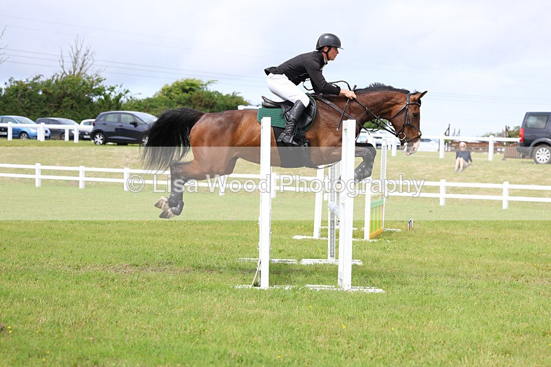 3E7A7341 - Class 13: Senior British Novice/90cm open