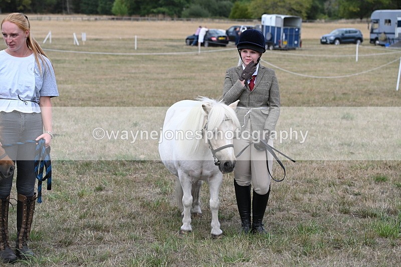 WJ6_7107 - Class 21 Shetland & Mini Horses