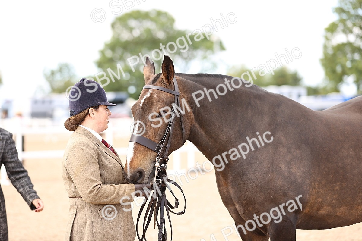 SBM_10371 - Class 405 - IH Show Cob