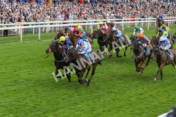 240823-Race 3-Ropey Guest-5175 - Race 3 3.00pm Clipper Handicap